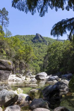 Düşük açılı, geniş bir dağ vadisini resmeden uzun bir çekim. Ön planda büyük, koyu renkli kayalar yer almaktadır. Orta sahada, çeşitli ağaçlar ve farklı yeşil çalıların yer aldığı yoğun, yeşil bitki örtüsü yer almaktadır..