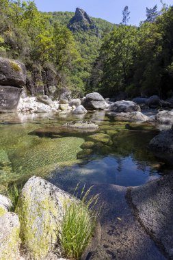 Görüntü yüksek açılı, sığ ve kayalık bir yatağın tam görüntüsünü veriyor. Su son derece berraktır, akarsu yatağının çeşitli büyüklükteki kaya ve taşlardan oluşan bileşiminin görünürlüğünü sağlar, bazıları yosunlu dokular sergiler.. 
