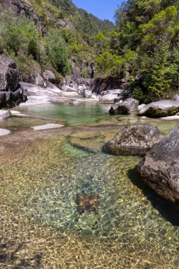 Yüksek açılı, sığ, kristal berraklığında bir dere havuzu. Su son derece şeffaftır. Yüzeyin altındaki pürüzsüz, açık renkli kayaları ve su bitkilerini ortaya çıkarır..