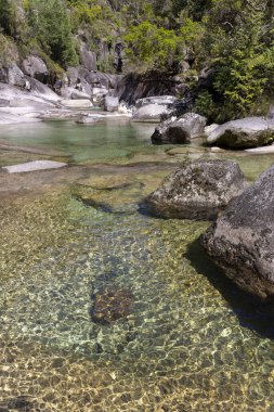 Yüksek açı, sığ bir su kütlesinin yakın görüntüsü, muhtemelen bir nehir ya da akarsu. Su, çeşitli büyüklükteki kaya, çakıl taşı ve su altı bitkilerinden oluşan nehir yatağının görünürlüğünü sağlayan olağanüstü bir berraklık sergiliyor.. 