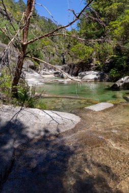 Görüntü, dağlık bir çevrede kayalar ve bitki örtüsü arasına yerleştirilmiş sığ ve berrak bir su havuzunun yüksek açılı orta ölçekli bir görüntüsünü sergiliyor. Su şeffaf bir kalite sergiliyor, dipteki kayalık bileşimi ortaya çıkarıyor.. 