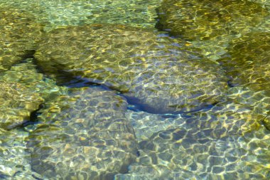 Yüksek açılı, kısmen görülebilir mavi balığın yakın çekim görüntüsü kayalar ve taşların arasında gizlenmiş sığ ve berrak suda. Su, deniz tabanında desenli bir desen oluşturarak görünür ışık kırılma efektleri sergiler.. 