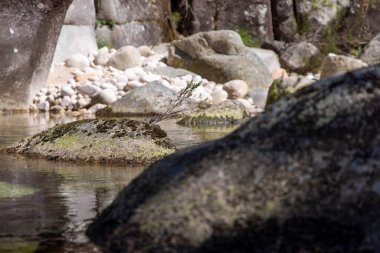 Yakın çekim, çeşitli büyüklükteki kayaların üzerinden ve etrafından yavaşça akan sakin bir su sahnesini tasvir ediyor. Kayalar koyu griden açık kahverengiye renk olarak değişir, pürüzsüz ve pürüzsüz dokular sergilerler..