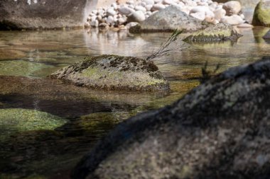 Suya batmış kayaların yakın görüntüsü kısmen yosun ya da alglerle kaplı ve durgun bir su kütlesine sahip. Suyun yüzeyi etrafındaki kayaları ve sessiz ışığı yansıtır..