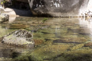 Görüntü, sığ bir su kütlesinin yüksek açılı ve yakın bir görüntüsünü sunuyor. Su nispeten berraktır, su altındaki kayaların ve bitki örtüsünün görünürlüğünü sağlar.. 
