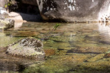 Görüntü, sığ bir su kütlesinin yüksek açılı ve yakın bir görüntüsünü sunuyor. Su nispeten durgun ve saydamdır. Bu da batık kayaların görünürlüğünü ve alt kısımdaki dokularını sağlar.. 