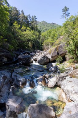 Yüksek açılı, kayalık bir arazide akan bir akarsuyun uzun görüntüsü. Nehir nispeten sığ, sayısız koyu renkli kaya ve kayalar hem suyun içinde hem de dışında görülebilir.. 