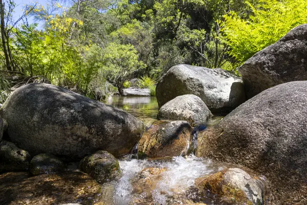 Yüksek açılı, dağ deresinin yakın görüntüsü. Dere, birkaç büyük ve koyu renkli nehir kayaları etrafında akan temiz ve sığ sulara sahiptir. Kayalar şekil ve boyut olarak farklılık gösterirken, bazıları dokulu bir yüzey sergiliyor..