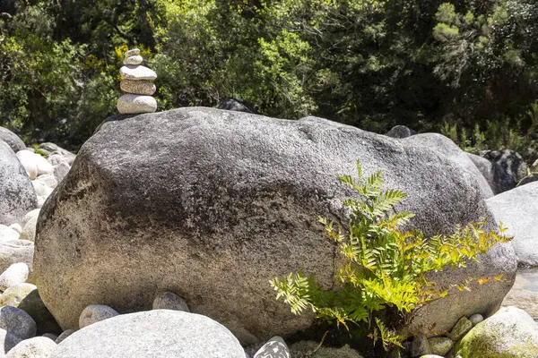 Yüksek açılı, yakın plan, büyük, gri, desenli bir kaya. Kayanın üzerinde daha açık renkli, daha küçük taşlardan yapılmış küçük bir cairn bulunur. Bereketli yeşil bitki örtüsü, muhtemelen eğreltiotu, kayanın kenarından filizleniyor..