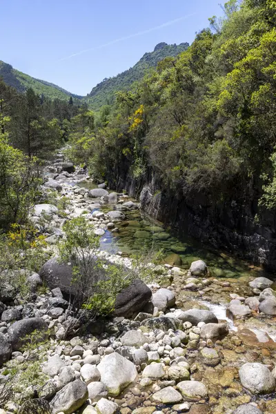 Görüntü, sık bir ormanda dolanan sığ bir akarsuyun yüksek açılı, uzun bir görüntüsünü sunuyor. Dere yatağı, üzerinde temiz ve sığ suyun aktığı çeşitli boyutlarda sayısız kaya ve taştan oluşmaktadır.. 