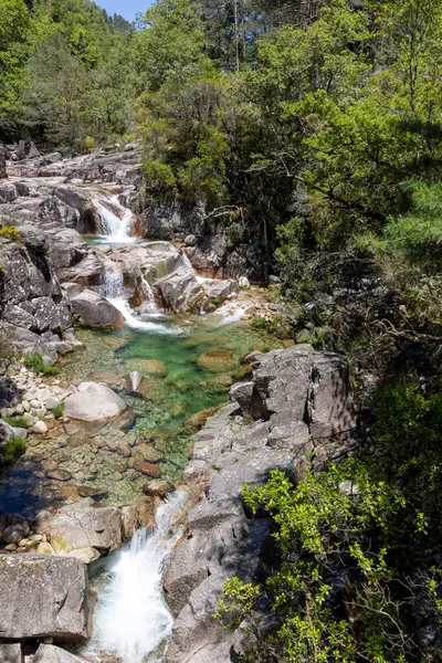 Yüksek açılı, kayalık bir dağ deresinden dökülen küçük bir şelalenin yakın görüntüsü. Su son derece berrak, aşağıdaki havuzda yeşilimsi bir renk var. Kayalar ağırlıklı olarak açık gri ve şekil ve boyut olarak farklıdır..