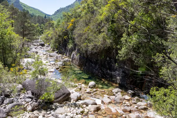 Görüntü yüksek açılı, uzun bir dağ deresi görüntüsü sunuyor. Dere, çeşitli boyutlarda açık renkli taşlar ve kayalarla kayalık bir nehir yatağı ile karakterize edilir. Su görünür bölgelerde nispeten berrak ve sığ..