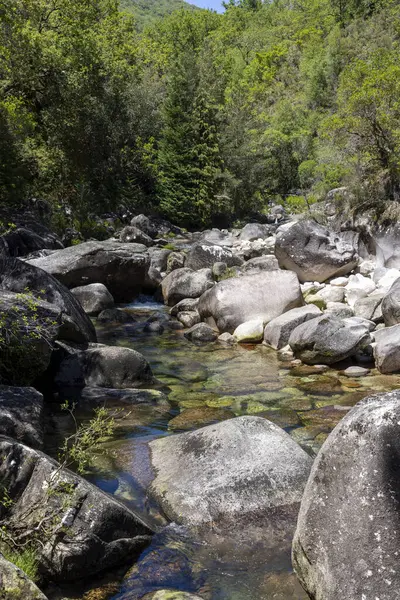 Yüksek açılı, geniş ve küçük gri tonlarda kayalardan oluşan sığ bir dere yatağının orta açılı görüntüsü. Su berrak ve sığ, nehir yatağını tamamen görünür kılıyor. Kenarları boyunca yeşil bitkiler görülebilir.