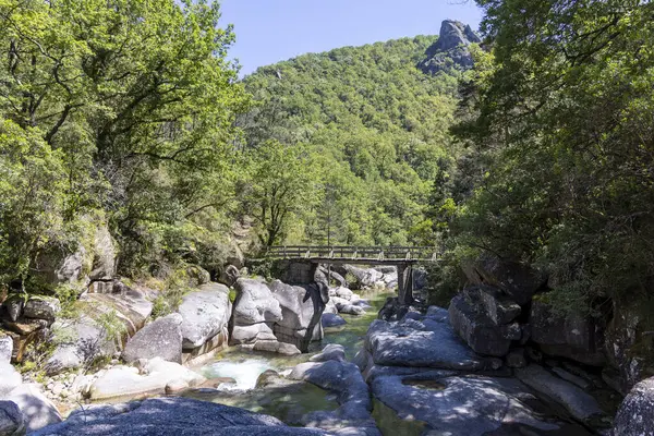 Yüksek açılı, sığ ve kayalık bir dere boyunca uzanan kırsal ahşap bir yaya köprüsü görüntüsü. Dar bir vadi boyunca akan dere, yaprak döken ağaçlar da dahil olmak üzere yemyeşil bitki örtüsüyle doludur. Büyük, açık renkli kayalar derede görülebilir..