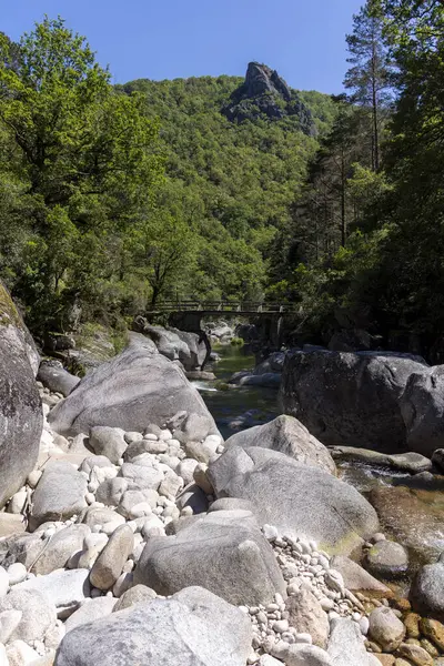 Görüntü, yüksek açılı, dar bir nehri kaplayan kırsal ahşap bir yaya köprüsünü gösteriyor. Nehir yatağı büyük, açık ve koyu gri yuvarlak kayalarla karakterize edilir..