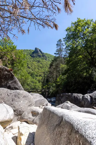Görüntü, ön plandaki büyük kayaların arkasından, alçak bir görüş noktasından çekilmiş bir manzara fotoğrafı sunuyor. Ön plan koyu gri, desenli kayalardan oluşmuştur. Orta alan yemyeşil yapraklar sergiliyor..