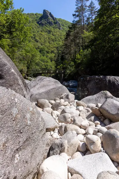 Yüksek açılı, çeşitli kaya ve çakıl taşlarından oluşan bir dere yatağının yakın görüntüsü. Geniş, açık gri kayalar ön planda hakimdir, daha küçük, pürüzsüz taşlar ve çakıl taşları alt merkezi doldurur..