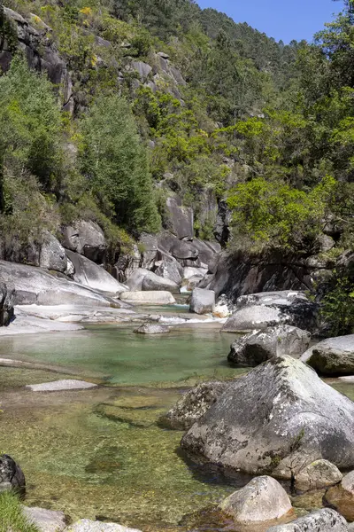 Görüntü yüksek açılı, sakin bir dağ akıntısının orta ölçekli görüntüsünü sergiliyor. Nehrin sığ ve berrak suları, farklı boyutlarda açık gri ve beyaz kayalardan oluşan bir yatak ortaya çıkarır..