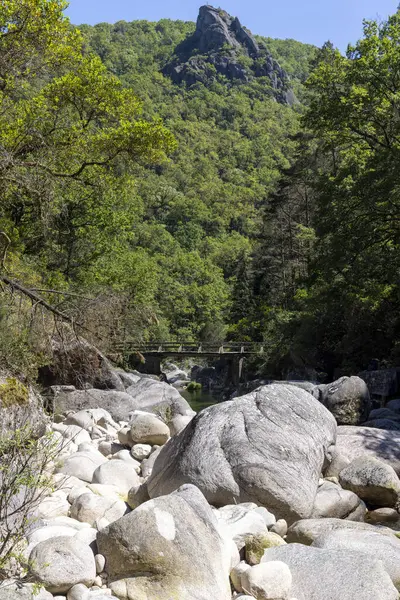 Yüksek açılı, uzun açılı bir çekim, sık bir ormanın içine yerleşmiş kayalık bir dere boyunca uzanan kırsal bir yaya köprüsünü yakalar. Tahtadan yapılmış gibi görünen köprü yıpranmış ve çevreyle sorunsuz bir şekilde harmanlanmış..