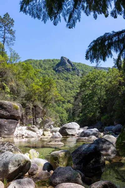 Düşük açılı, geniş bir dağ vadisini resmeden uzun bir çekim. Ön planda büyük, koyu renkli kayalar yer almaktadır. Orta sahada, çeşitli ağaçlar ve farklı yeşil çalıların yer aldığı yoğun, yeşil bitki örtüsü yer almaktadır..