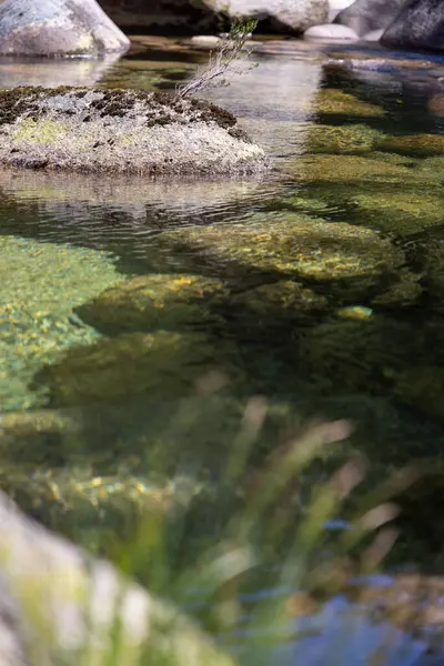 Görüntü, sığ bir su kütlesinin yakın çekim sualtı görüntüsünü sunuyor. Odak noktası, yeşil su bitkisi ve / veya alg tabakasıyla kaplanmış kısmen batık birkaç kaya..