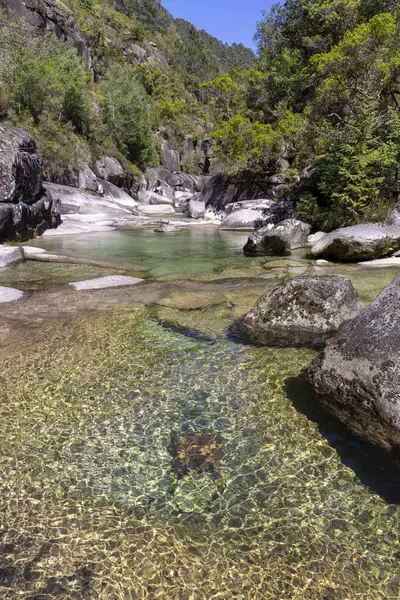 Yüksek açılı, sığ, kristal berraklığında bir dere havuzu. Su son derece şeffaftır. Yüzeyin altındaki pürüzsüz, açık renkli kayaları ve su bitkilerini ortaya çıkarır..