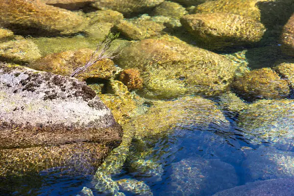 Yüksek açılı, yakın çekim. Yüzeysel ve berrak sularda birden fazla su altı kayasını betimliyor. Kayalar açık bejden koyu kahverengiye kadar değişen renk ve dokularda bazı benekli desenler gösteren değişkenler sergiler..