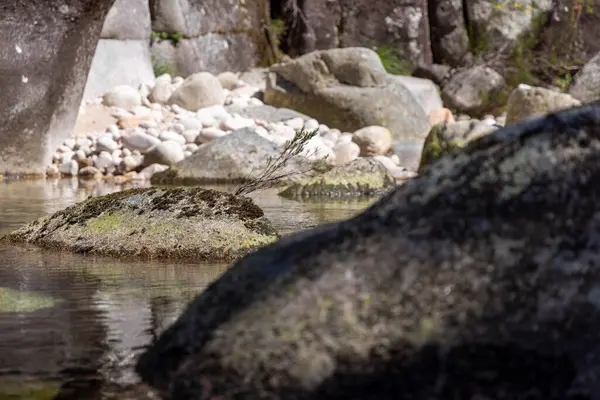 Yakın çekim, çeşitli büyüklükteki kayaların üzerinden ve etrafından yavaşça akan sakin bir su sahnesini tasvir ediyor. Kayalar koyu griden açık kahverengiye renk olarak değişir, pürüzsüz ve pürüzsüz dokular sergilerler..
