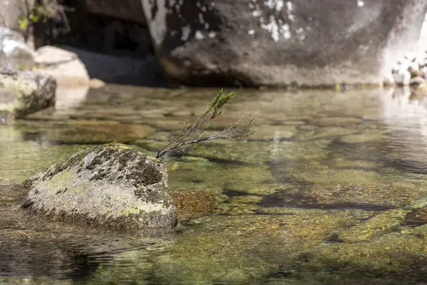 Görüntü, sığ bir su kütlesinin yüksek açılı ve yakın bir görüntüsünü sunuyor. Su nispeten durgun ve saydamdır. Bu da batık kayaların görünürlüğünü ve alt kısımdaki dokularını sağlar.. 
