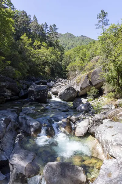 Yüksek açılı, kayalık bir arazide akan bir akarsuyun uzun görüntüsü. Nehir nispeten sığ, sayısız koyu renkli kaya ve kayalar hem suyun içinde hem de dışında görülebilir.. 
