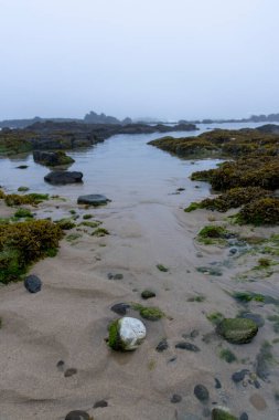 Görüntü yüksek açılı, alçak gelgitte küçük bir gelgit havuzunun yakın görüntüsünü gösteriyor. Gelgit havuzu sığ ve su sakin ve durgun görünüyor. Havuz karanlık kayalarla çevrili..