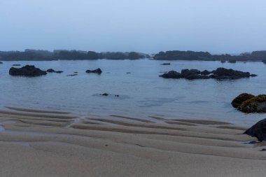Görüntü, sisli bir sabahta kayalık bir sahil manzarasını gösteriyor. Renk paleti ağırlıklı olarak gri ve mavilerden oluşur. Deniz, ince dalgalarla sakindir. Koyu, düzensiz kayalar.