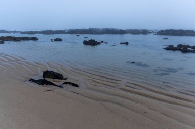 Görüntü alçak açılı, kumlu bir sahilin şafakta ya da gündoğumunda geniş açılı görüntüsünü gösteriyor. Kumsal nispeten düz ve kumda gelgit izleri var. Birkaç koyu renkli kuş kumların üzerinde dinleniyor..