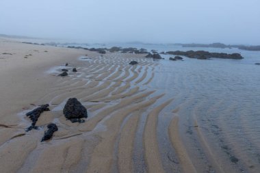 Görüntü bulutlu bir günde bir plaj sahnesini gösteriyor. Kum, dalga benzeri bir dalga deseni sergiliyor. Koyu renkli kayalar kıyı boyunca dağılmış..