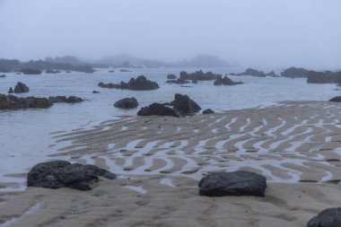 Görüntü, yoğun bir sis altında sakin ve gri bir okyanusun hakim olduğu kıyı sahnesini tasvir ediyor. Ön planda kumlu bir sahil var. Kuma oyulmuş farklı dalga desenleri var..