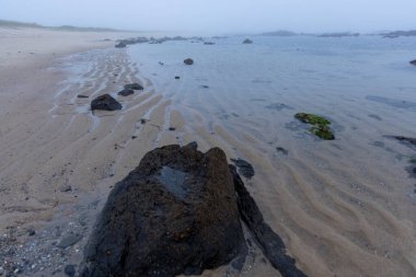  Alçak açı, alçak gelgitte kayalık bir kıyı şeridine yakın görüntü. Ön planda, küçük, su dolu bir depresyonu olan koyu renkli bir kaya bulunur. Orta zemin kumlu bir plajı gösteriyor..