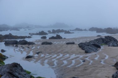  Kumlu bir sahile dağılmış çeşitli büyüklükteki karanlık kayaların hakim olduğu bir sahil manzarası. Kum, suyla oluşan görünür desenleri gösteriyor. Sisli bir sis ya da alçak bulut örtüsü.
