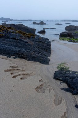 Görüntü, bir okyanus kıyısının bir bölümünü gösteriyor. Ön planda, volkanik kökenli koyu renkli kayaların birbirine karıştığı açık renkli kum bulunuyor. Dalgalanan odun parçaları kumun üzerinde görünür..