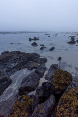 Yüksek açılı, koyu gri ve siyah kayaların yakın çekim görüntüsü alçak gelgitte kısmen sığ ve sakin okyanus suyuna gömülü. Su, kayaların etrafındaki ince dalgalanmalarla nispeten hareketsiz görünüyor..