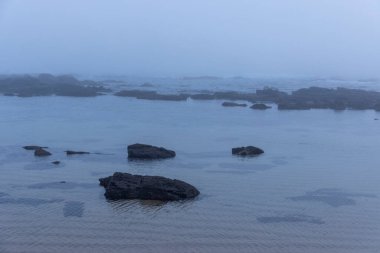 Görüntü, sisli ya da sisli bir günde muhtemelen okyanus ya da deniz gibi sakin bir su kütlesini betimliyor. Bazı koyu kayalar kıyı şeridi yakınlarındaki sığ sulara kısmen batmış durumda.. 