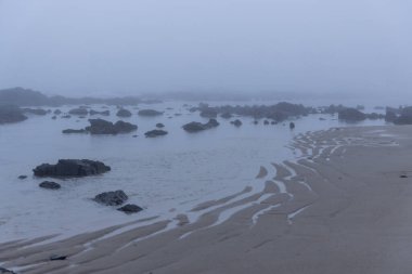 Görüntü, bulutlu bir günde kıyı sahnesinin uzak bir görüntüsü. Sahne sakin bir su kütlesi tarafından yönetiliyor. Etrafa dağılmış sayısız koyu kayalar kısmen sular altında görünüyor..  