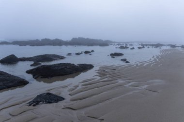 Görüntü, bulutlu bir günde geniş bir plaj sahnesini betimliyor. Kumsal sığ sulara ve kıyı şeridine dağılmış karanlık kayalarla karakterize edilir.. 