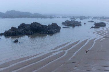 Yüksek açılı, sisle kaplanmış kıyı manzarası. Ön planda görülebilir dokusu ve su tarafından yaratılmış desenleri olan kumlu bir sahil bulunur. Koyu, düzensiz kayalar dağılmış..