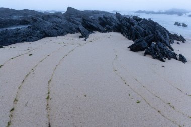 Yüksek açılı, kumlu bir sahilin yakın görüntüsü. Kum açık bej renginde ve belirgin paralel izler gösteriyor, muhtemelen bir hayvana ait, muhtemelen volkanik, karanlık bir yığın kayaya doğru gidiyor..