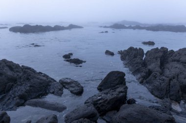 Deniz sisi ile kaplanmış kayalık bir sahil şeridinin panoramik görüntüsü. Görüntü, çeşitli boyutlardaki karanlık ve ıslak kayaların egemenliği altında kısmen sakin ve durgun sulara gömülü. Genel renk paleti kapatıldı.