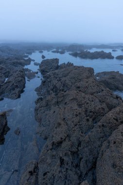 Yüksek açılı, dalgaların çekildiği kayalık bir kıyı şeridine yakın çekim. Görüntü, farklı boyut ve dokulardan oluşan koyu gri ve mavi kayaları gösteriyor. Aralarındaki boşlukları durgun su dolduruyor.. 