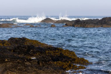 Görüntü, okyanus dalgalarının karanlık kayalara çarptığı bir sahneyi gösteriyor. Ön planda deniz yosunlarıyla kaplı koyu kayalar, orta ve arka planda ise okyanus dalgaları yer almaktadır..