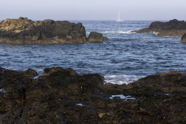 Görüntü kayalık bir sahil şeridinin peyzaj odaklı görüntüsünü gösteriyor. Ön planda okyanus suyuna kısmen batmış koyu renkli kayalar yer almaktadır..