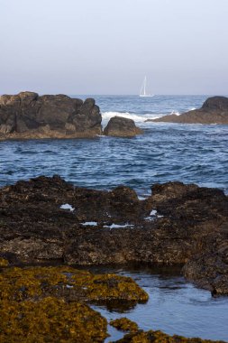 Görüntü, okyanus dalgalarıyla kaplı kayalık bir sahil şeridini gösteriyor. Ön plan karanlık, sert kayalardan oluşur. Orta alan dalgalı, koyu mavi okyanus dalgalarını gösteriyor.. 