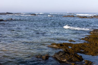 Görüntü, su yüzeyine ve kayalık kıyı şeridine odaklı bir kıyı sahnesini betimliyor. Su, küçük dalgalar ve kayaların yakınındaki küçük dalgaları gösteren sessiz bir mavi-gridir. Kayalar karanlık..